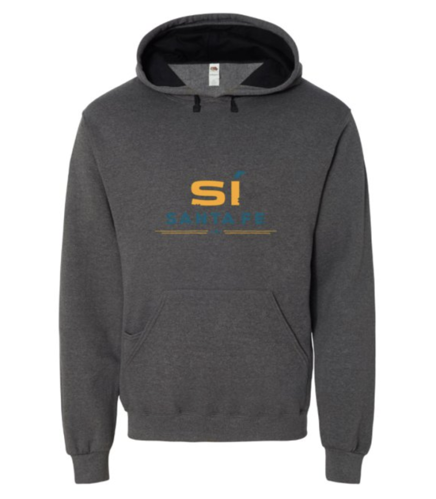 gray-hoodie-895x1024.png